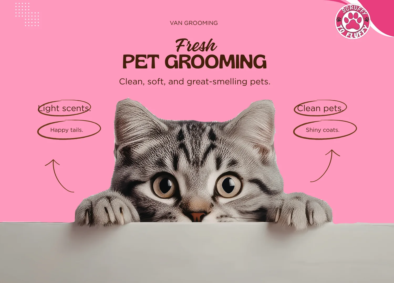 Van grooming hero banner